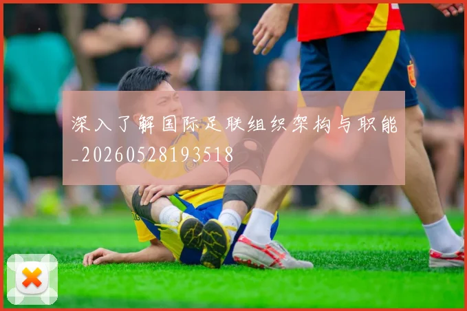 深入了解国际足联组织架构与职能_20260528193518