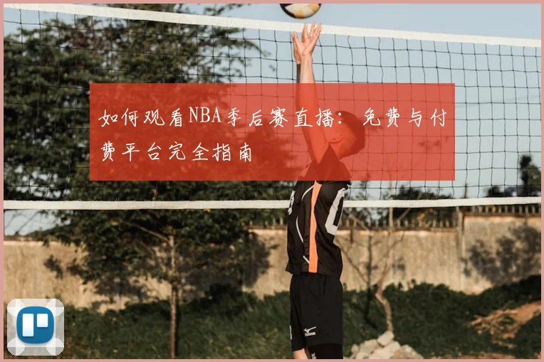 如何观看NBA季后赛直播：免费与付费平台完全指南