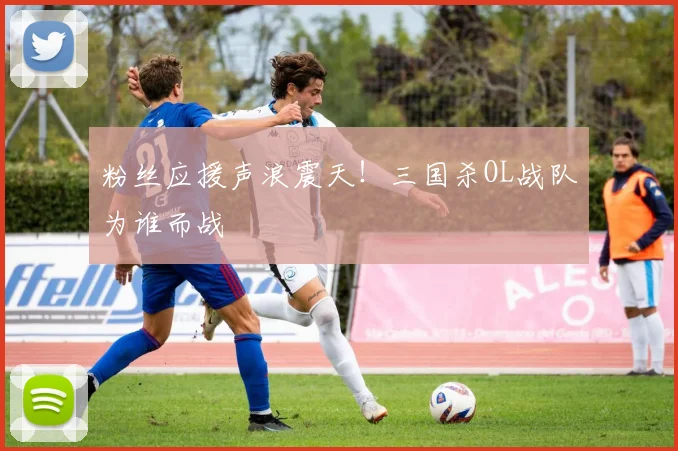粉丝应援声浪震天！三国杀OL战队为谁而战