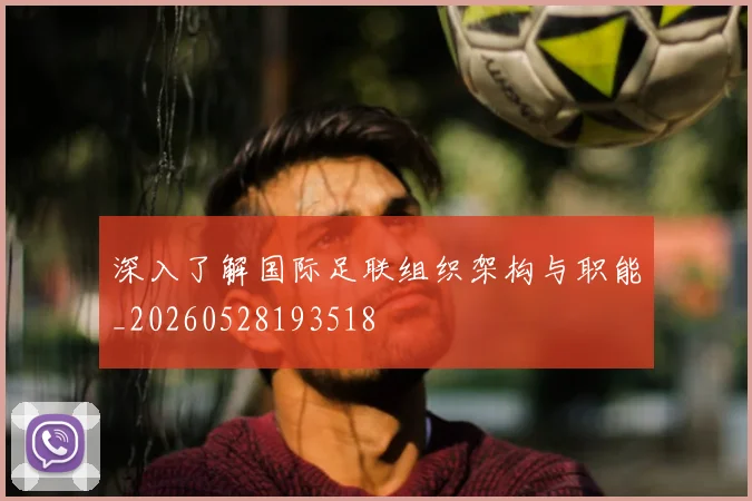 深入了解国际足联组织架构与职能_20260528193518