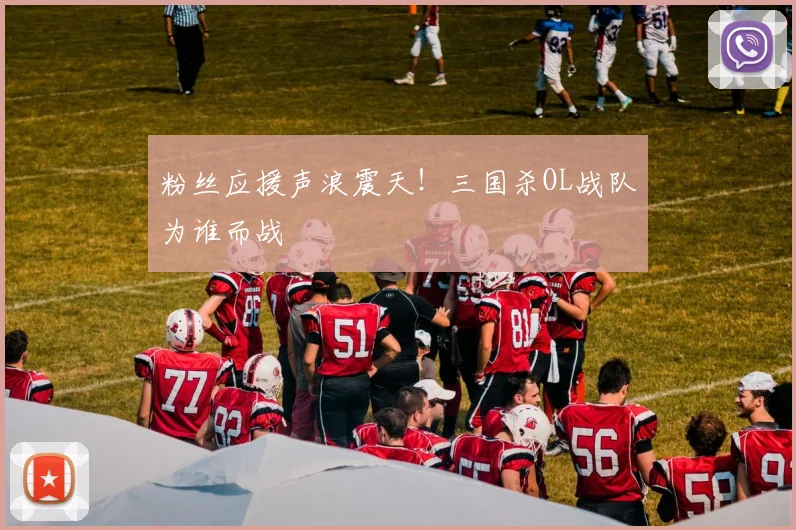 粉丝应援声浪震天！三国杀OL战队为谁而战