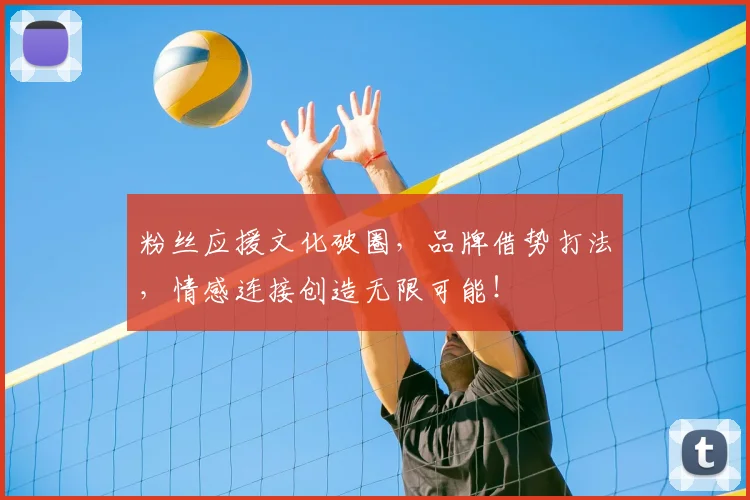 粉丝应援文化破圈，品牌借势打法，情感连接创造无限可能！