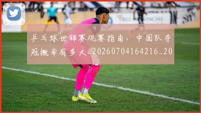 乒乓球世锦赛观赛指南,中国队夺冠概率有多大_20260704164216_20260716191713
